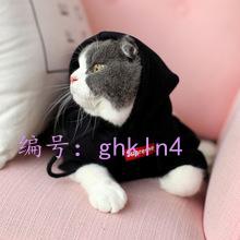 ȷ